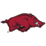 Arkansas Razorbacks