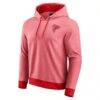 Atlanta Falcons Darius Rucker Collection by Fanatics Tonal Knit Pullover Hoodie - Red - Back View