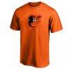 Pete Alonso Baltimore Orioles Profile Big & Tall Name & Number T-Shirt - Orange - Back View