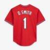 Ozzie Smith St. Louis Cardinals Mitchell & Ness Authentic Batting Practice Jersey - Scarlet - Detail View