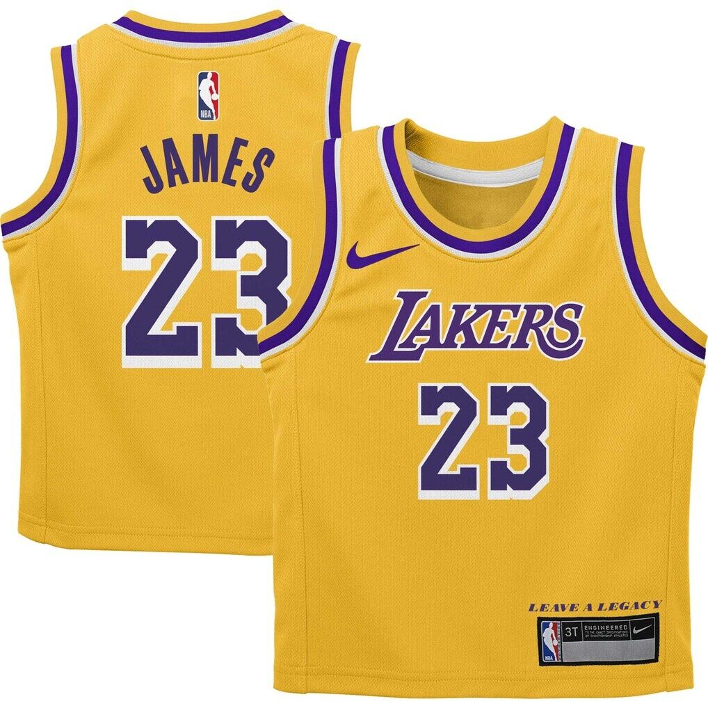 LeBron James Los Angeles Lakers Nike Preschool Dri-FIT Swingman Player Jersey - Icon Edition