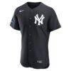 Aaron Judge New York Yankees Nike Alternate Authentic Sponsor Patch Jersey - Navy - Side View