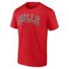 Chicago Bulls Logo Athletic Wordmark T-Shirt - Red - Back View