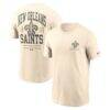 New Orleans Saints Nike Freestyle Essential T-Shirt - - Front View