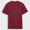 Arizona Cardinals Fashion7 Old Fashion Rushing Legacy Cotton T-Shirt - - Side View