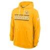Pittsburgh Steelers Nike Standard Issue Replay Officials Alternate Dri-FIT Hoodie - Gold - Side View