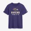 Baltimore Ravens Nike Sideline Alternate Final Sprint Dri-FIT T-Shirt - Purple - Front View