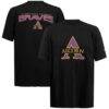 Alcorn State Braves FISLL Applique T-Shirt - Black - Front View