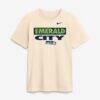 Seattle Seahawks Nike Emerald City T-Shirt - - Front View