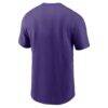 Tampa Bay Rays Nike Local T-Shirt - Purple - Detail View