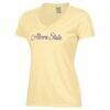 Alcorn State Braves Women's Script Logo Comfort Wash V-Neck T-Shirt - Gold - Side View