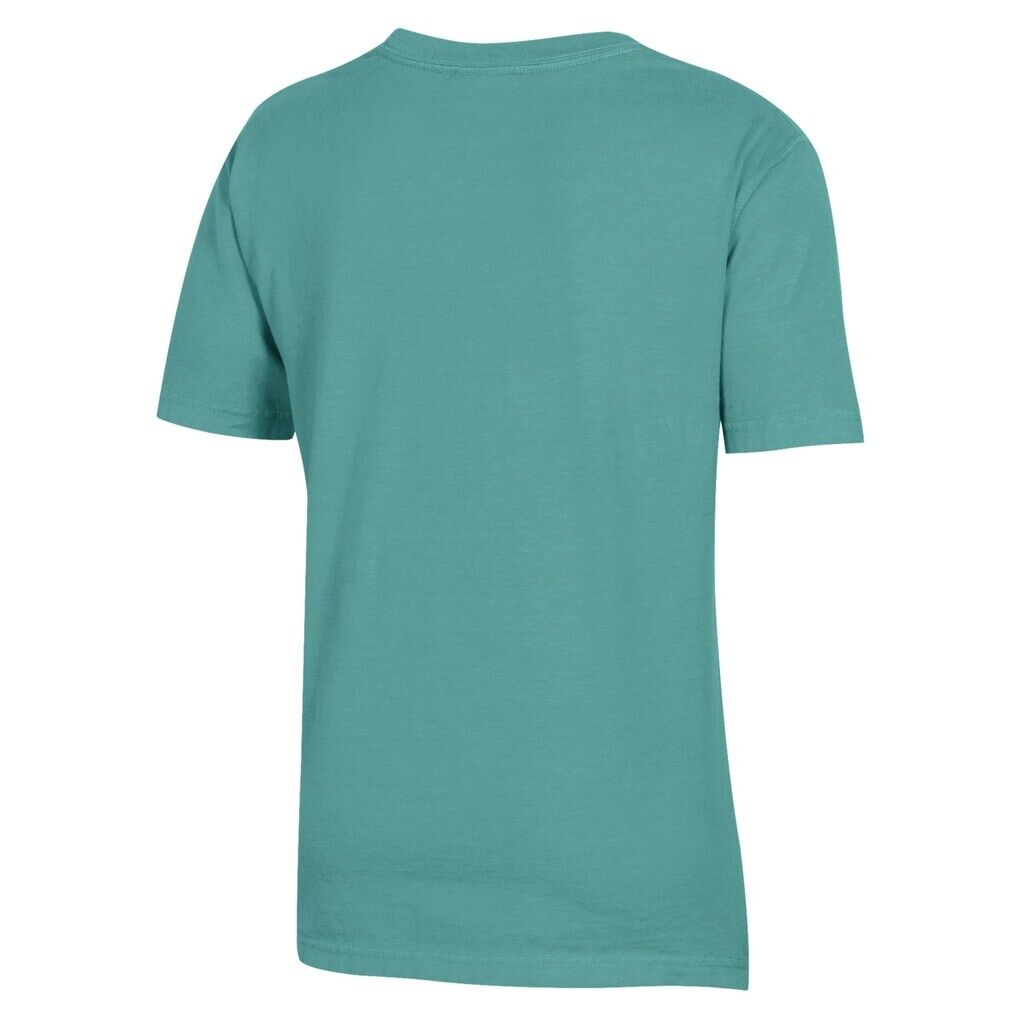 Cal Poly Mustangs Youth Logo Comfort Wash T-Shirt - Forest Green