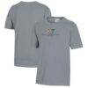 Hobart & William Smith Colleges Youth Logo Comfort Wash T-Shirt - Gray - Front View