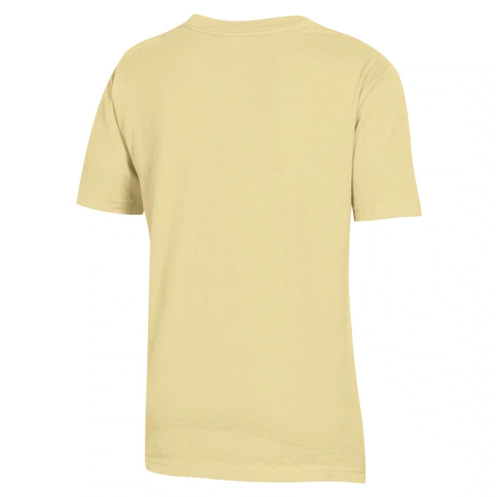 Iona University Gaels Youth Logo Comfort Wash T-Shirt