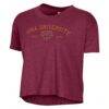 Iona University Gaels Alternative Apparel Women's Retro Jersey Headliner Cropped T-Shirt - - Side View
