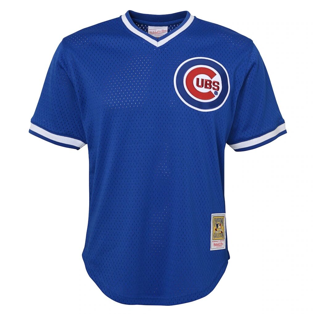 Ryne Sandberg Chicago Cubs Mitchell & Ness Youth Cooperstown Collection Mesh Batting Practice Jersey - Royal