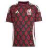 Mexico National Team adidas Youth 2024 Home Replica Jersey - - Side View