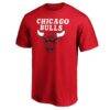 Chicago Bulls Global Logo T-Shirt - Red - Back View