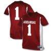 #1 Arkansas Razorbacks Garb Youth Football Jersey - - Front View