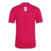St. Louis City SC adidas 2025 Jersey Hook AEROREADY T-Shirt - Red - Detail View