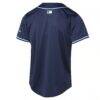 Tampa Bay Rays Youth Road Limited Jersey - Navy - Detail View