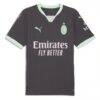 AC Milan Puma 2024/25 Third Replica Jersey - Charcoal - Side View