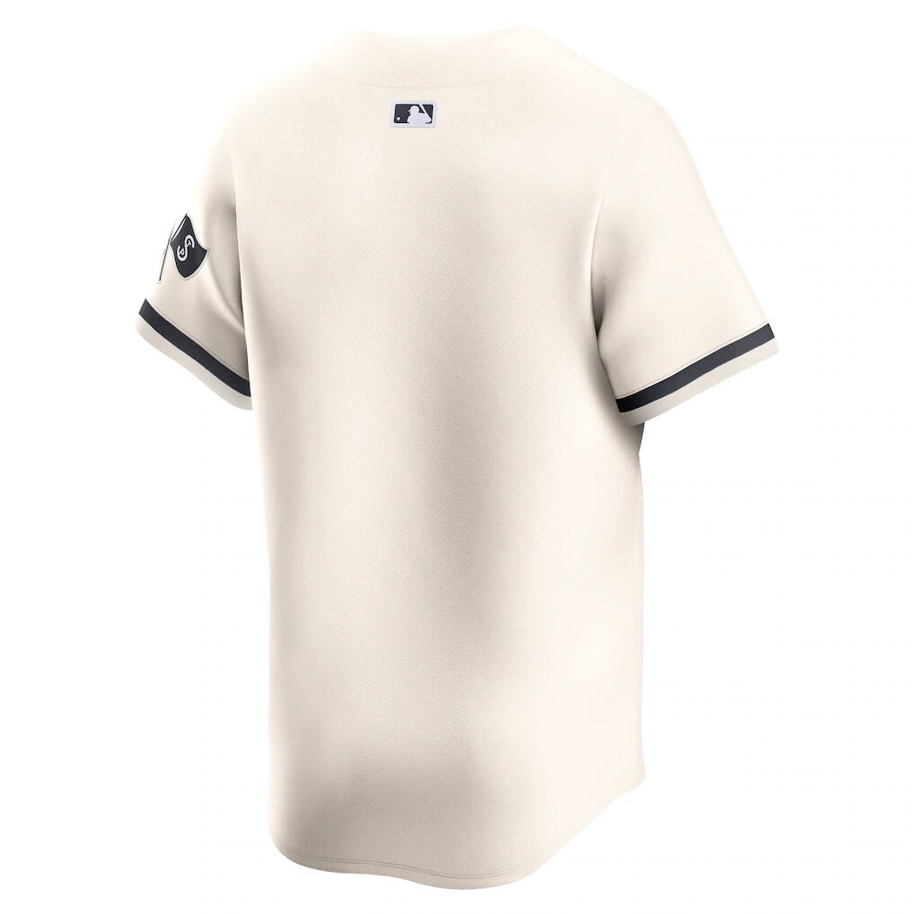 Minnesota Twins Nike Alternate Limited Jersey