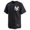 Aaron Judge New York Yankees Nike Alternate Limited Player Jersey - Navy - Side View