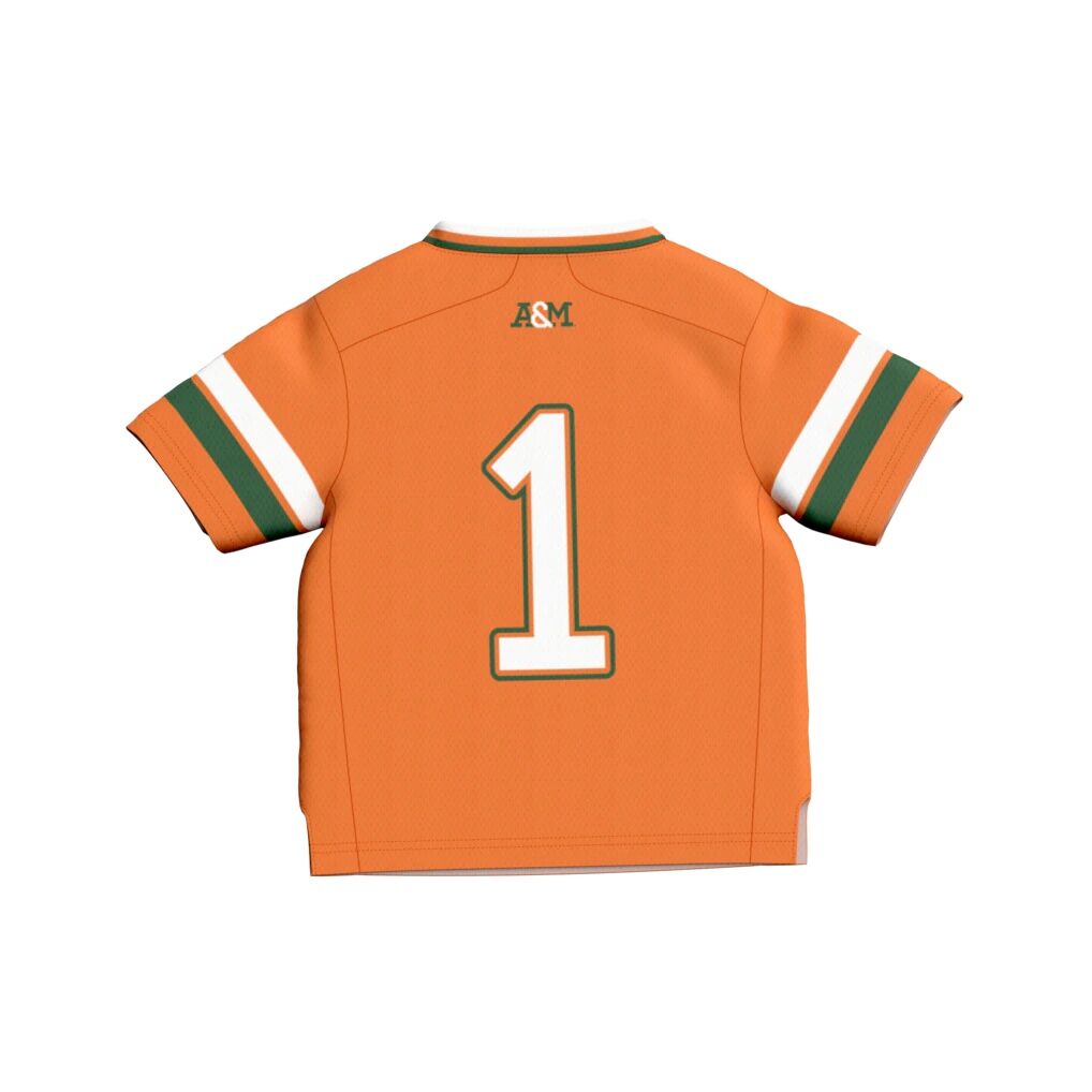 #1 Florida A&M Rattlers GameDay Greats Toddler Collegiate Football Fashion Jersey
