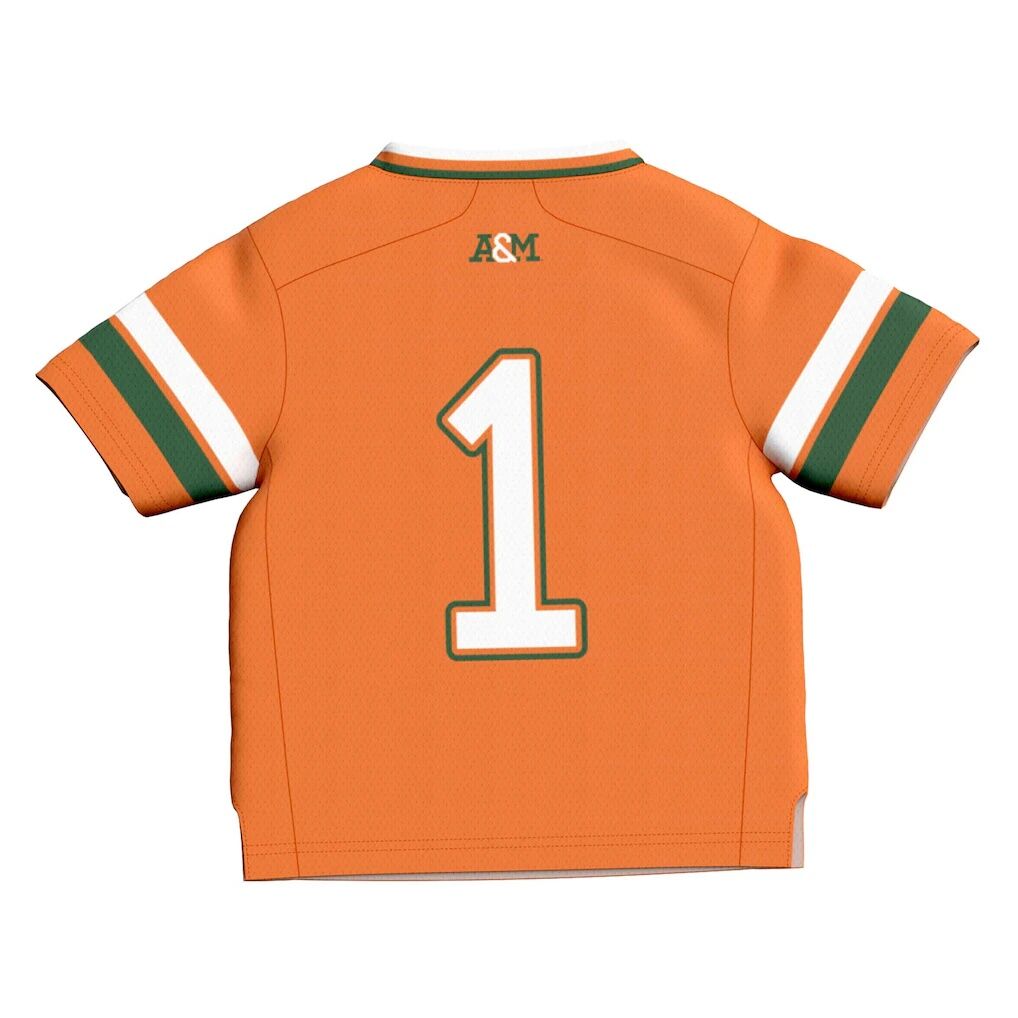#1 Florida A&M Rattlers GameDay Greats Infant Collegiate Football Fashion Jersey