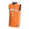 #1 Florida A&M Rattlers GameDay Greats Youth Lightweight Collegiate Basketball Fashion Jersey - Orange - Side View
