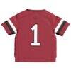 #1 Arkansas Razorbacks GameDay Greats Toddler Lightweight Collegiate Football Fashion Jersey - - Detail View