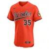 Adley Rutschman Baltimore Orioles Nike Alternate 2 Elite Jersey - Orange - Side View