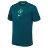 Nigeria Women's National Team Nike 2025/26 Home Replica Jersey - Teal - Detail View
