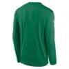 Philadelphia Eagles Nike Legend Small Logo Dri-FIT Long Sleeve T-Shirt - - Detail View