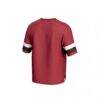 Arkansas Razorbacks GameDay Greats Unisex Spirit Football Jersey - - Detail View