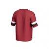 Arkansas Razorbacks GameDay Greats Youth Spirit Football Jersey - - Detail View