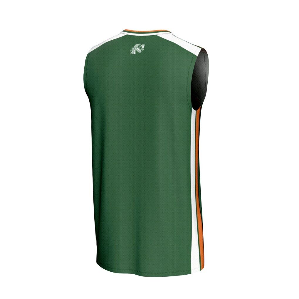 Florida A&M Rattlers GameDay Greats Unisex Spirit Basketball Jersey
