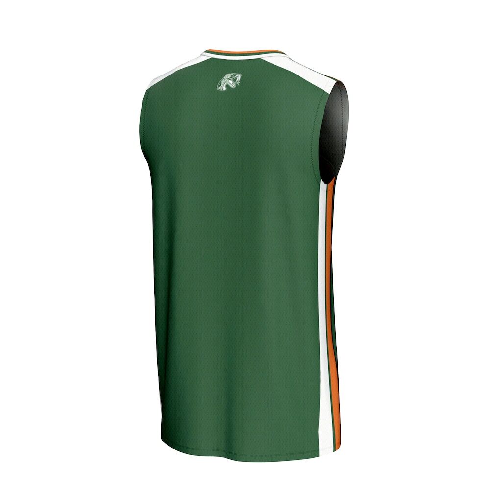 Florida A&M Rattlers GameDay Greats Youth Basketball Jersey