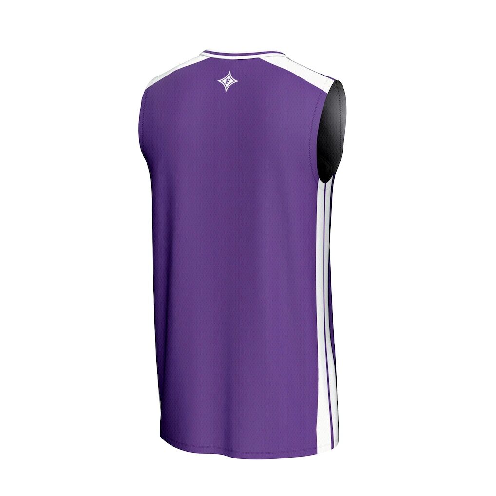 Furman Paladins GameDay Greats Youth Basketball Jersey