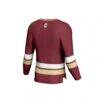 Charleston Cougars GameDay Greats Unisex Spirit Hockey Jersey - - Detail View