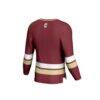 Charleston Cougars GameDay Greats Youth Spirit Hockey Jersey - - Detail View