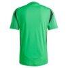 Austin FC adidas 2025 The Heartbeat Authentic Jersey - Green - Detail View