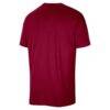 Cleveland Cavaliers Nike 2025/26 On-Court Flare Dri-FIT Tri-Blend Practice T-Shirt - - Side View