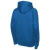 Buffalo Sabres Fashion7 Youth Authentic Pro Rink Raglan Hoodie - - Detail View