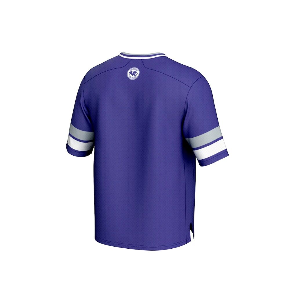High Point Panthers GameDay Greats Football Jersey