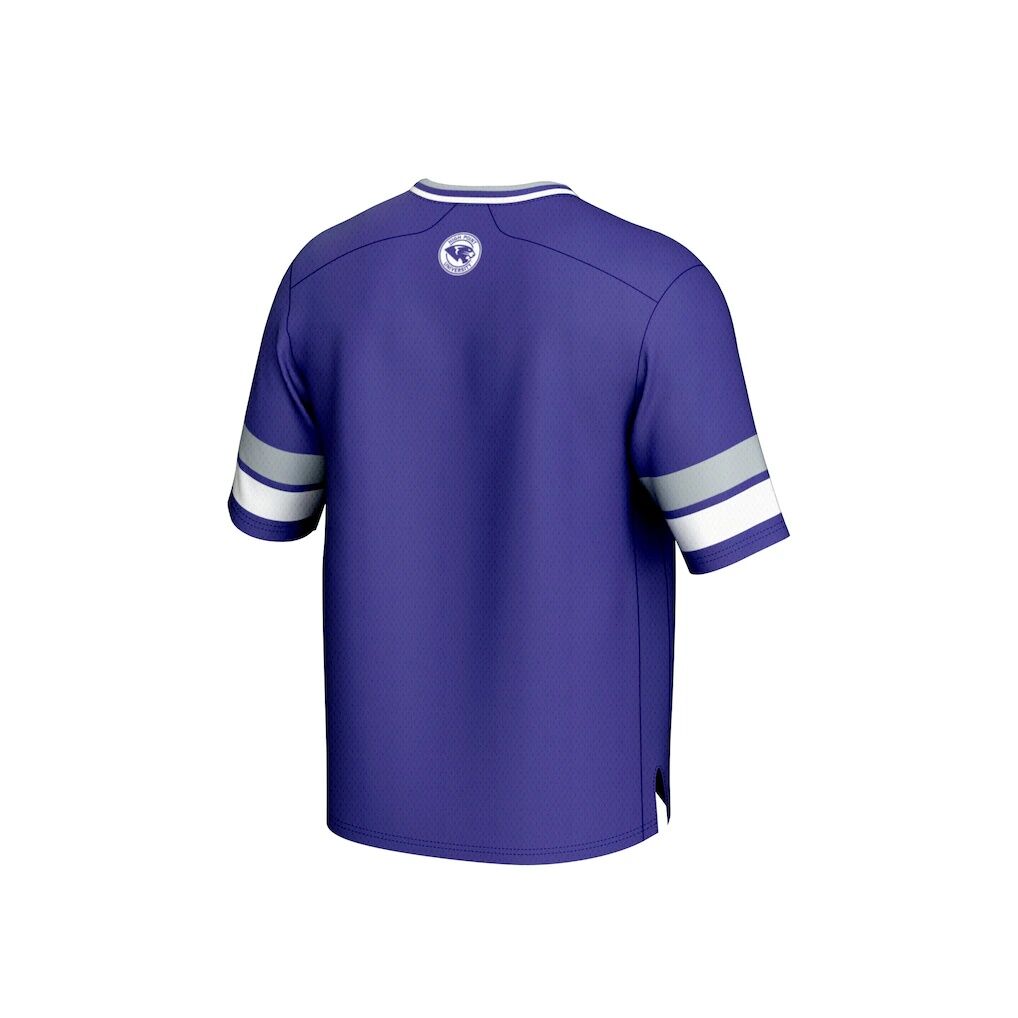 High Point Panthers GameDay Greats Youth Football Jersey