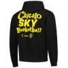 Chicago Sky Playa Society Unisex Team Pullover Hoodie - Black - Detail View