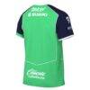 Pumas Nike 2025/26 Third Replica Jersey - Green - Back View