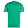 Newcastle United adidas 2025/26 Away Replica Jersey - Green - Detail View